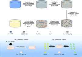  Tricalcium Phosphate の高強度化と生体適合性: 医療材料における未来への扉を開く！